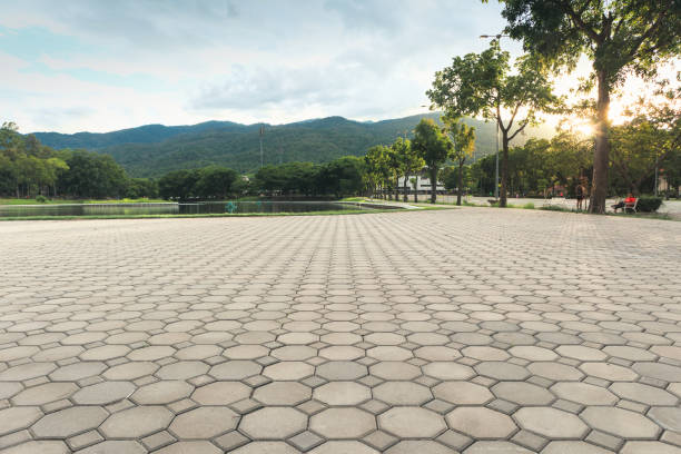 Best Driveway Pavers for Homes  in Pawnee, OK